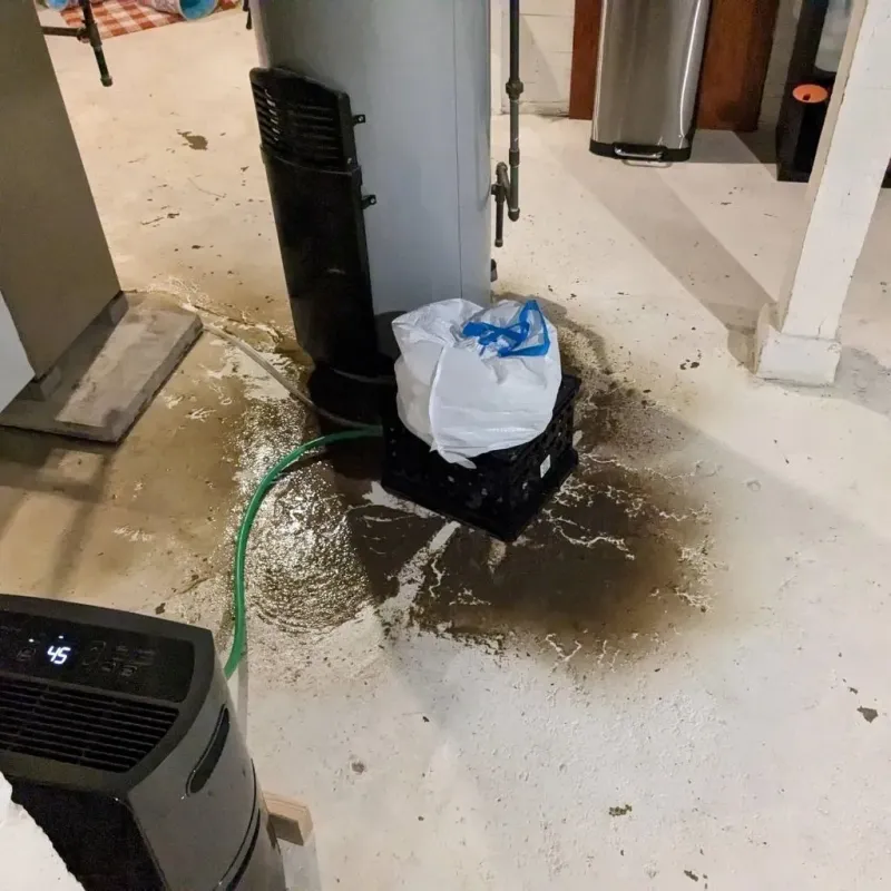 Sewage Backup Cleanup Service in Mojave, CA